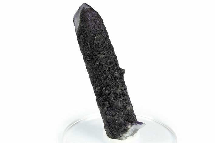 Purple Fluorite Encrusted Quartz Crystal - New Find! #350648